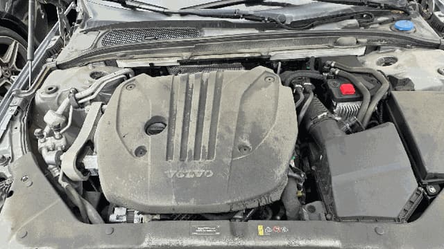 B000250202601300513984.jpg
