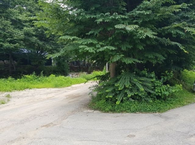 B000251202201300555402.jpg
