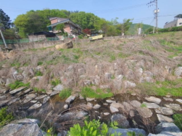 B000251202401300020834.jpg
