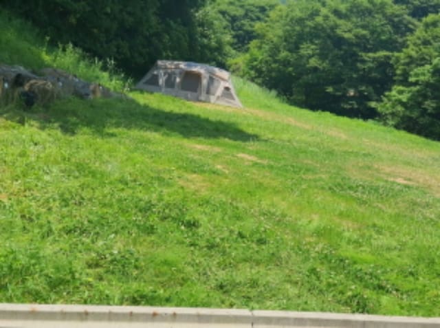 B000251202401300034684.jpg