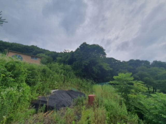 B000251202401300036974.jpg