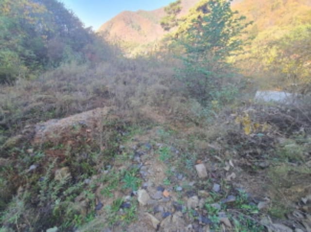 B000251202401300066581.jpg