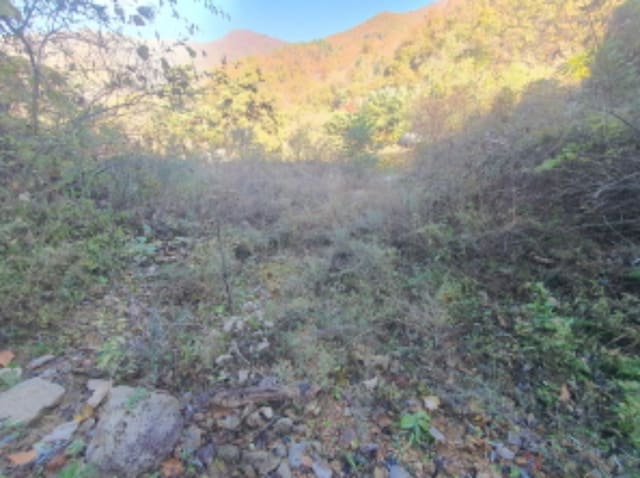 B000251202401300066582.jpg