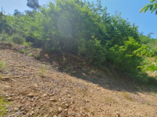 B000251202401300565233.jpg