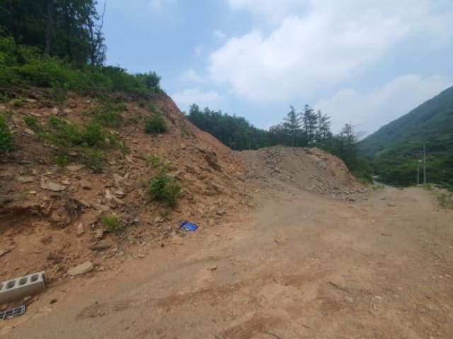 B000251202401300580794.jpg