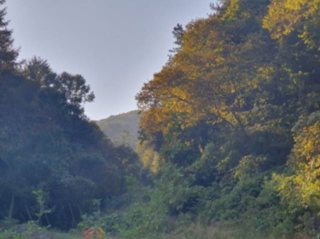 B000251202401300672403.jpg