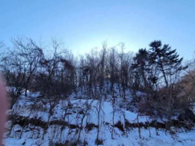 B000251202501300000463.jpg