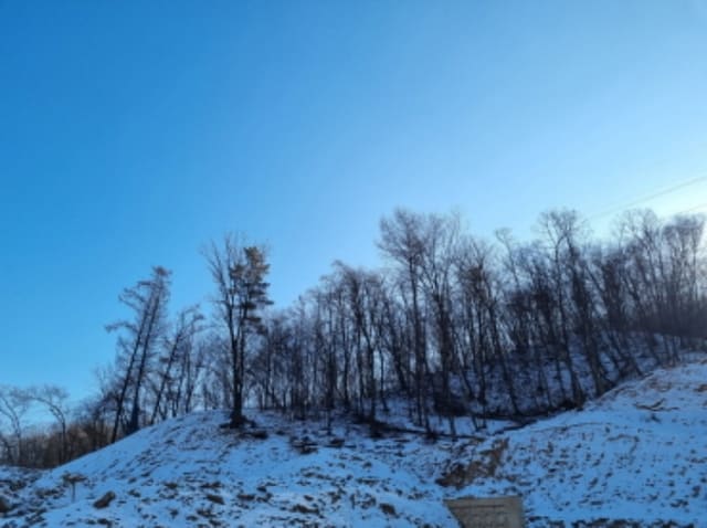 B000251202501300000462.jpg