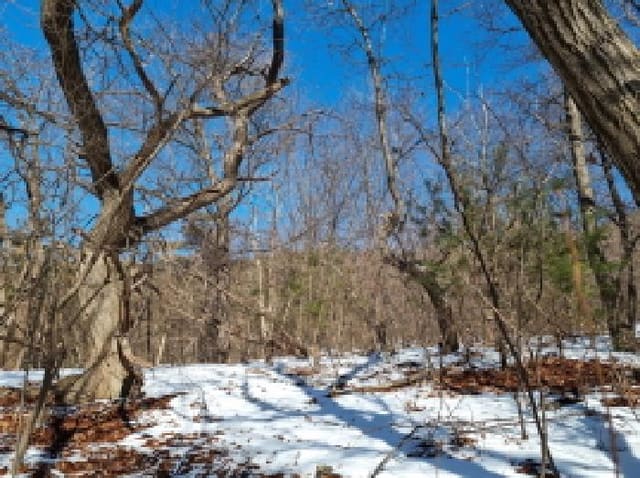 B000251202501300003504.jpg