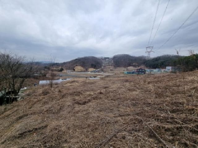 B000251202501300006404.jpg