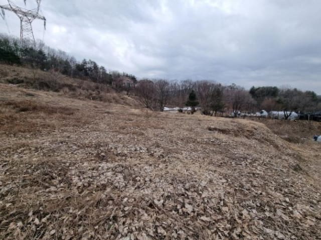 B000251202501300006403.jpg