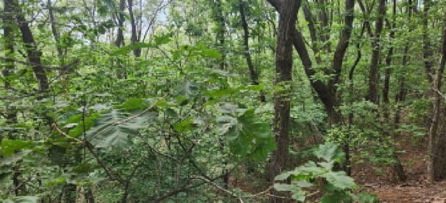 B000251202501300012854.jpg