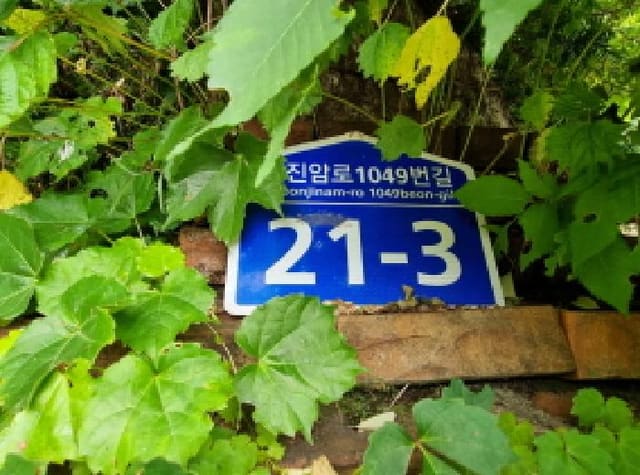 B000251202501300019332.jpg