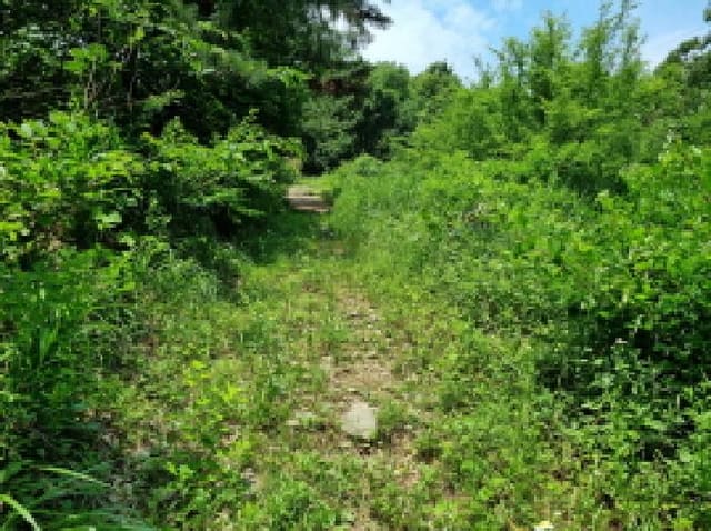 B000251202501300021582.jpg