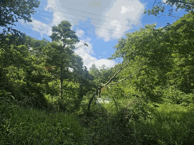 B000251202501300021584.jpg