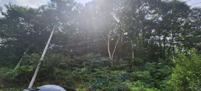 B000251202501300031992.jpg