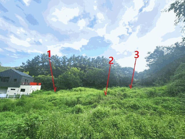 B000251202501300037314.jpg