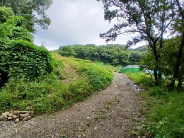 B000251202501300042532.jpg