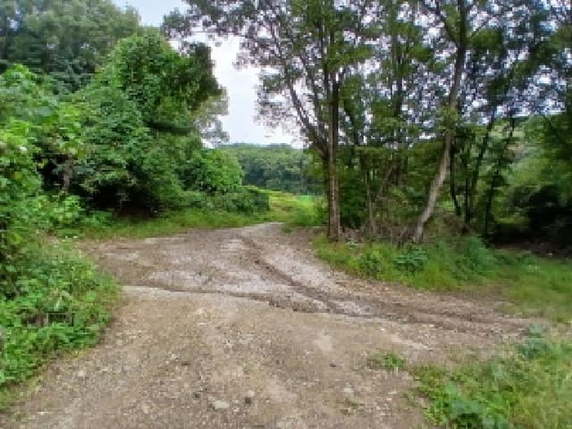 B000251202501300042534.jpg