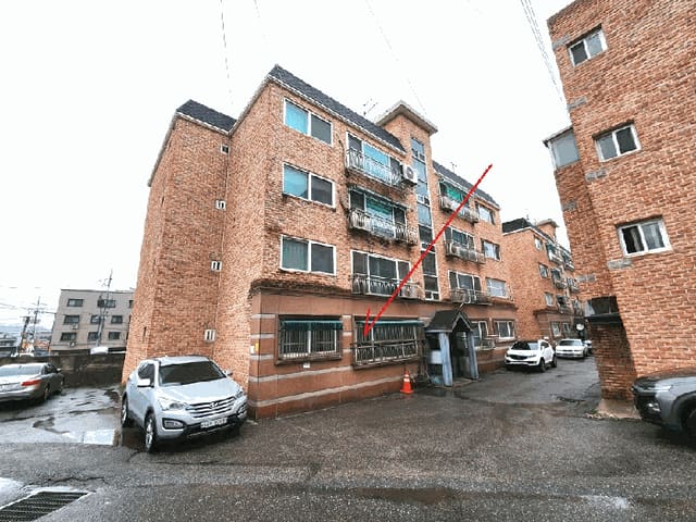 B000251202501300519304.jpg