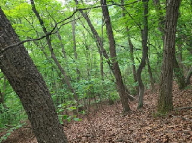 B000251202501300522703.jpg