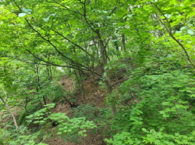 B000251202501300522702.jpg