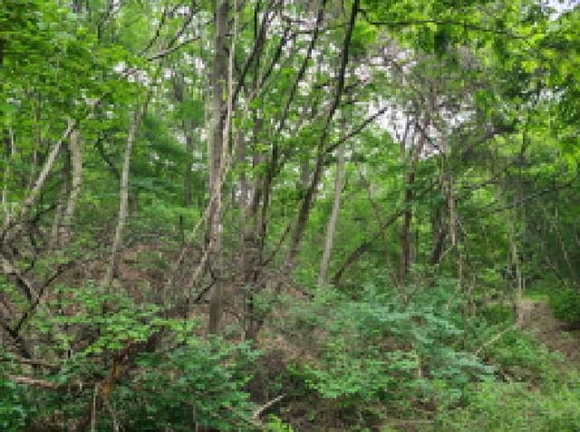 B000251202501300522701.jpg