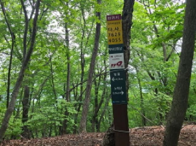 B000251202501300522704.jpg