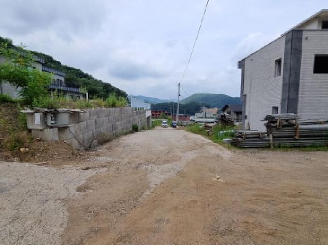 B000251202501300523071.jpg