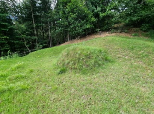 B000251202501300523504.jpg