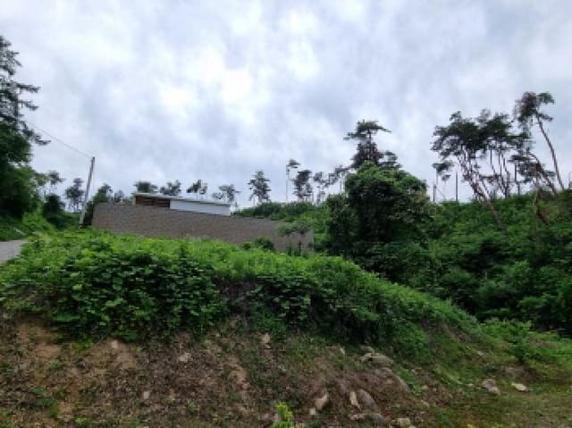 B000251202501300523973.jpg