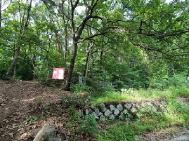 B000251202501300525662.jpg