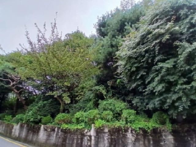 B000251202501300526122.jpg