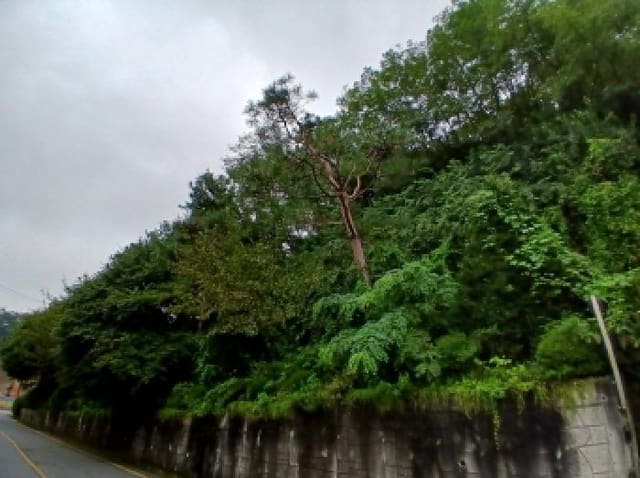 B000251202501300526124.jpg