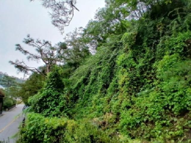 B000251202501300526123.jpg