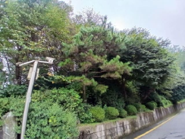 B000251202501300526121.jpg