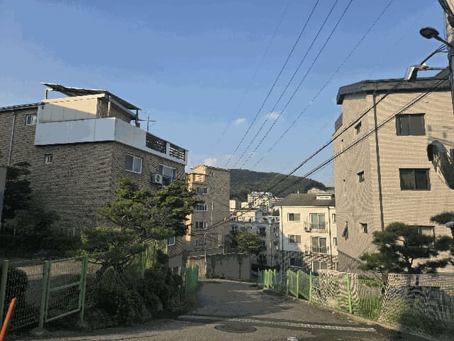 B000251202501300526435.jpg