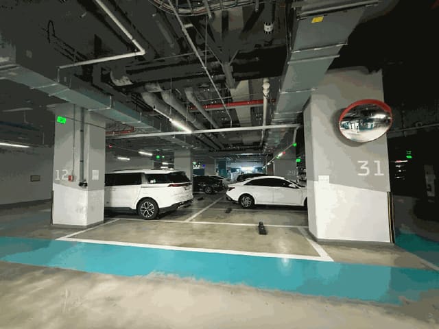 B000251202501300527084.jpg