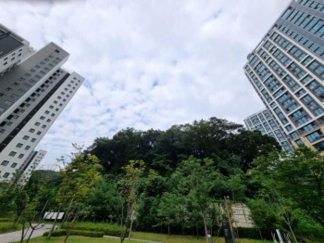 B000251202501300527333.jpg