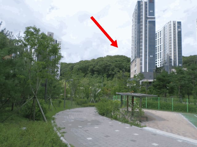 B000251202501300527334.jpg