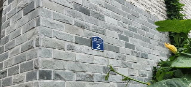 B000251202501300527882.jpg