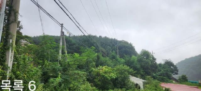 B000251202501300528224.jpg