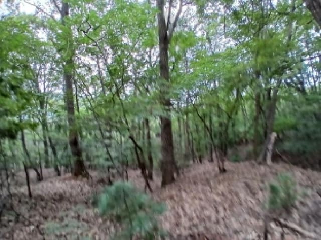 B000251202501300528651.jpg