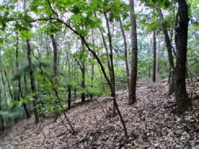 B000251202501300528652.jpg