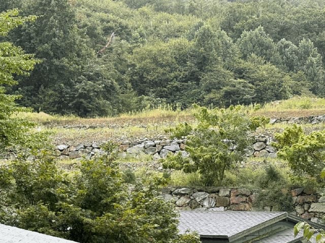B000251202501300529054.jpg