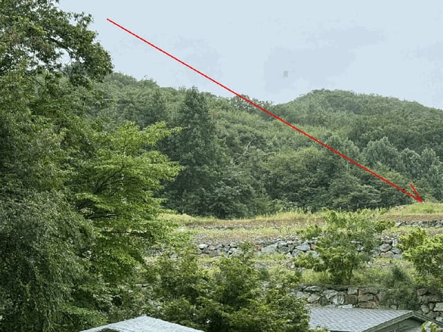 B000251202501300529052.jpg