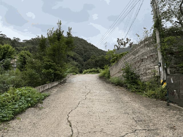 B000251202501300529053.jpg