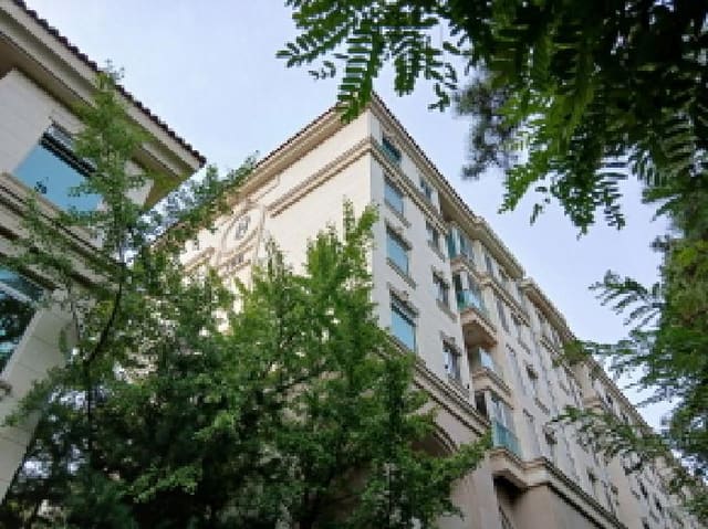 B000251202501300529391.jpg