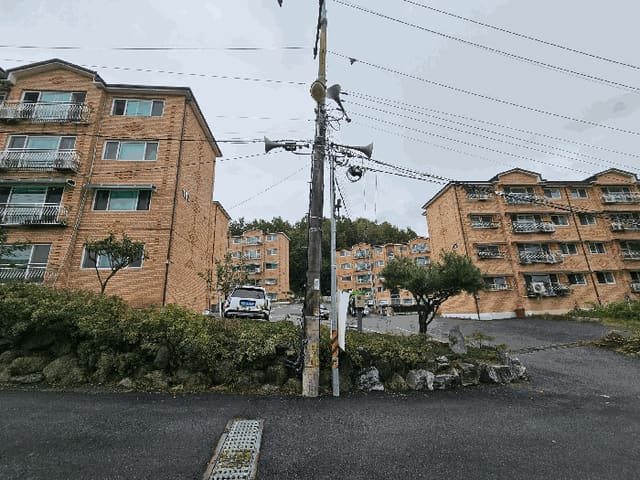 B000251202501300530764.jpg