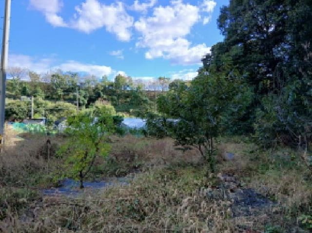 B000251202501300531153.jpg